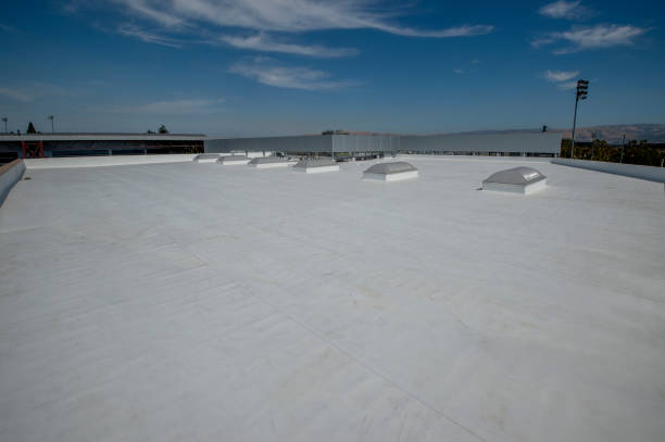 Best Rubber Roofing (EPDM, TPO)  in Hinckley, IL